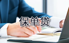 思茅保单贷