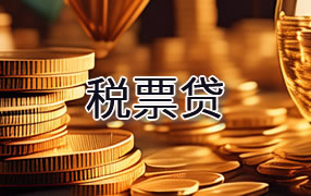 思茅税票贷